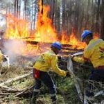 Se declara Alerta Temprana Preventiva para la Región de Biobío por amenaza de incendios forestales