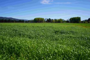 EN LAJA, ENTREGA DE TERRENOS PARA PROYECTO HBITACIONAL «LAS CUMBRES»